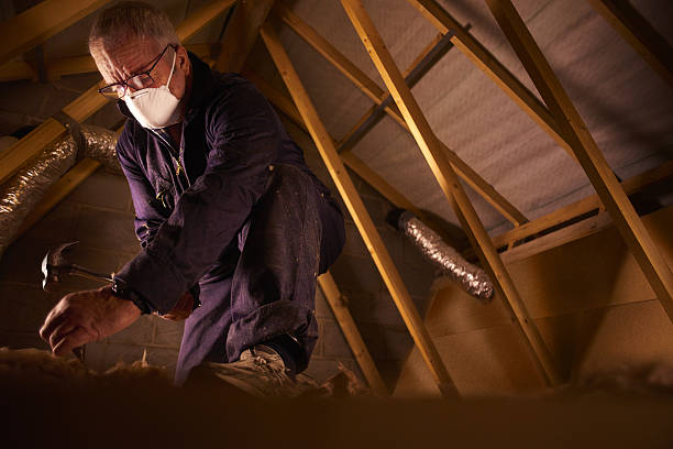 Professional Insulation Contractor in Needles, CA